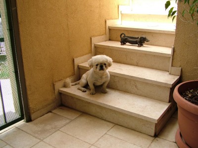 התמונות האיכותיות!