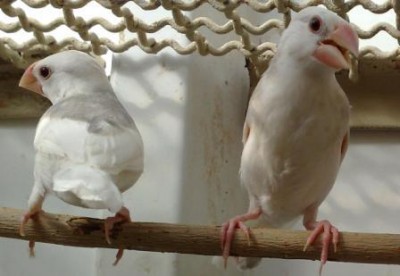 בגיל חודשיים.jpg