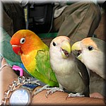 tn20041113_029.jpg
