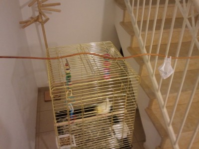 חליפת טיסה - הרגלה