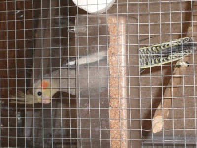 DSCF0236 (1024 x 768).jpg