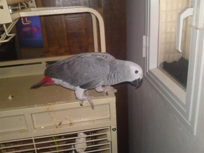 01062011587 (Small).JPG