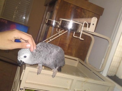 01062011591 (Small).JPG