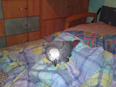 30052011582 (Small).JPG