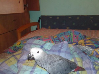 30052011583 (Small).JPG