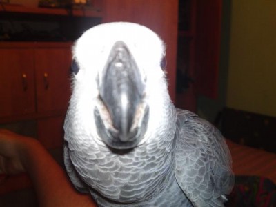 30052011584 (Small).JPG