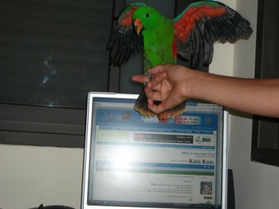 התמונה הזוכה!!!!1.jpg