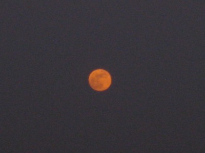 img_2173.jpg