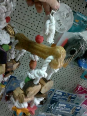 TOY.jpg