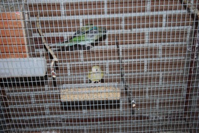 DSC_0326.jpg