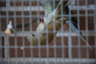 DSC_0335.jpg