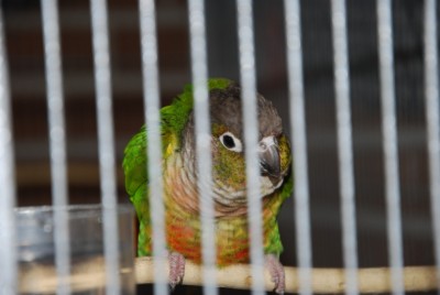DSC_0355.jpg