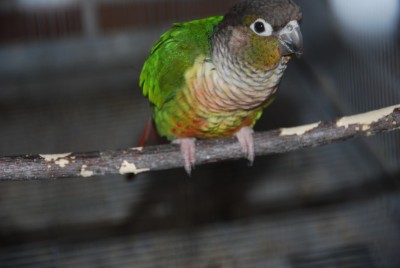 DSC_0348.jpg