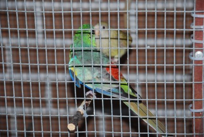 DSC_0343.jpg