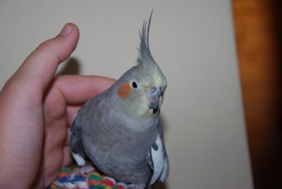 DSC_0385.jpg