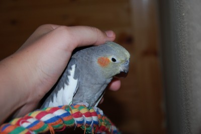 DSC_0383.jpg