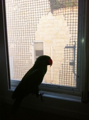 אחרי... והעבודה עוד לא נגמרה (: