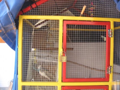 שימו לב שהקוקטיילים על תא הטלה של תוכונים ומתחתיהם התא הטלה שלהם עדיין לא תלוי :)