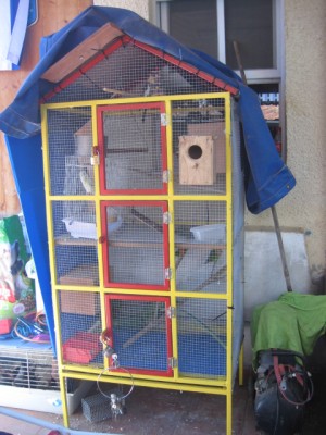 הכלוב כולו!