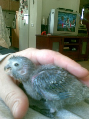 000.jpg