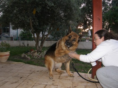 להקפיד לרסס גם  במקומות בעייתים כגון בין אצבעות הרגלים ,מאחורי האזניים וכדומה.