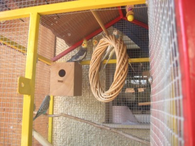 תוכון נמצא בענף למטה