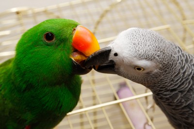 צולם במצלמת 50d של קנון (המצלמה שלי!)