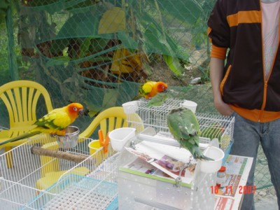 DSC05846_m1zQZA7LFBIP.jpg