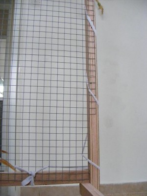 DSCF0591.JPG