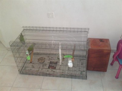 28062011643 (Small).JPG