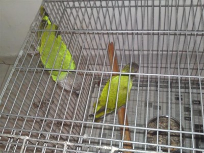 28062011644 (Small).JPG