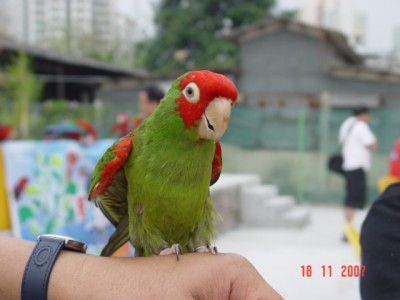 DSC05890_EzeX2b3bPVOR.jpg