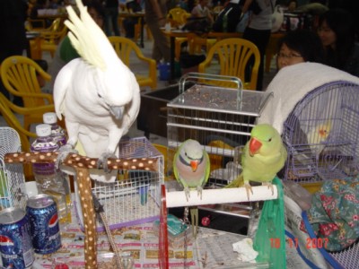 DSC05930_AdXNbeOgoNoS.jpg