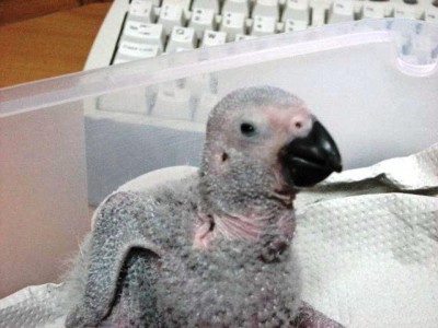 3.JPG