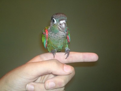 05072011671 (Large).JPG