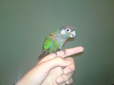 05072011670 (Large).JPG