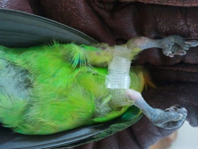 2011-07-06 17.37.11.jpg