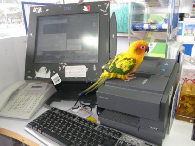 קוני כשהייתה מתלמדת בסופר פארם