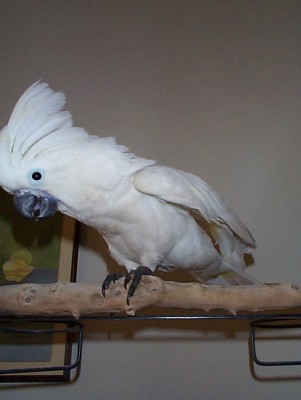 04.jpg