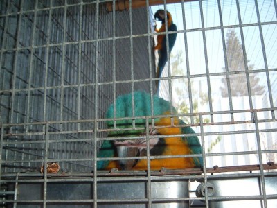 135.JPG