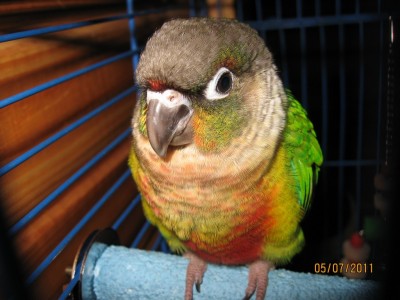 IMG_3396.jpg