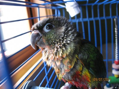 IMG_3450.jpg
