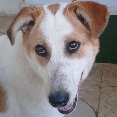 2011-07-19 18.26.39.jpg