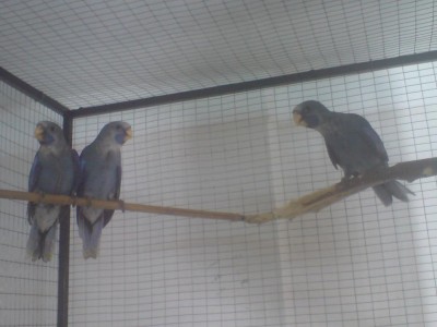 בשעה טובה כולם בחוץ