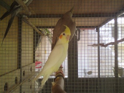 DSC01990 (648 x 486).jpg