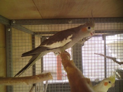 DSC01991 (648 x 486).jpg