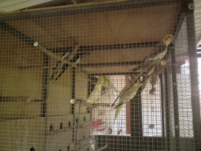 DSC01992 (648 x 486).jpg