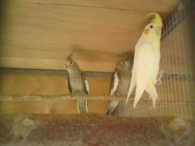 DSC01994 (648 x 486).jpg