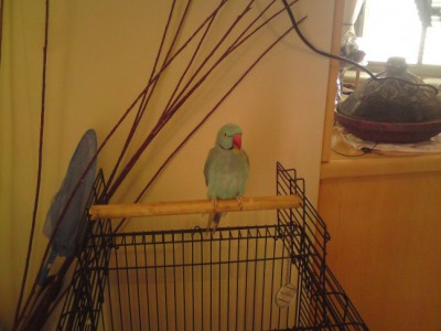 DSC01999 (648 x 486).jpg