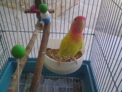 DSC02003 (648 x 486).jpg